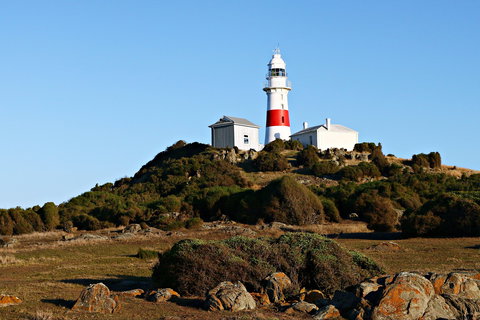 Low Head Foghorn - Darwin Holiday 1