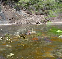 Mount Boss State Forest - Darwin Holiday