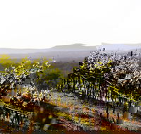 Mount View - Darwin Holiday