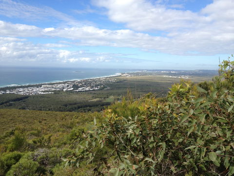 Mount Coolum National Park - Darwin Holiday 0