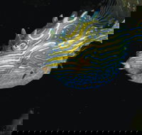 Mushroom Reef Marine Sanctuary - Darwin Holiday