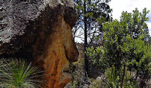 Mystery Face Walking Track - Darwin Holiday 0