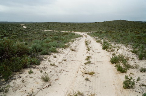 Ngarkat Conservation Park - Darwin Holiday 0