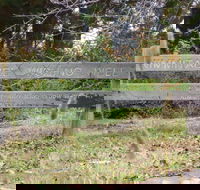 Nimmitabel Heritage Walk - Darwin Holiday