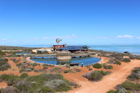 Ocean Park Aquarium - Darwin Holiday 1