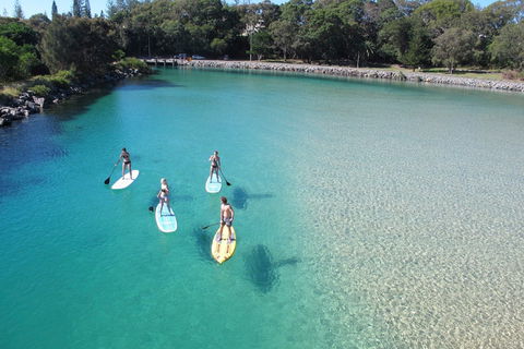 Paddleboard At Back Creek South West Rocks - Darwin Holiday 0