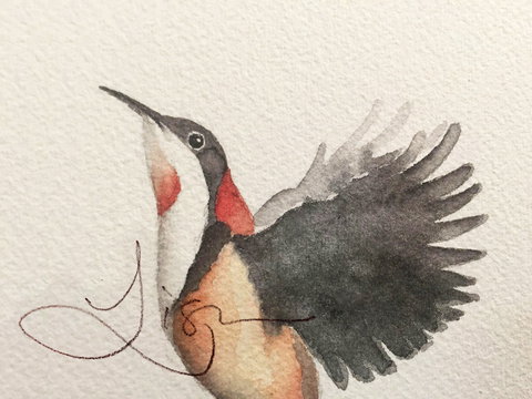 Pebbles And Pods - Darwin Holiday 0