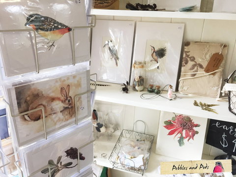 Pebbles And Pods - Darwin Holiday 2