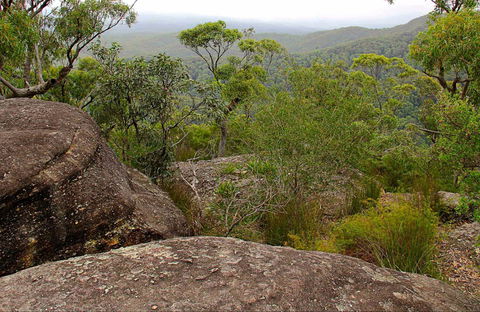 Pigeon House Mountain Didthul Walking Track - Darwin Holiday 0