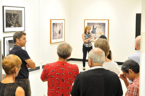 Pine Rivers Art Gallery - Darwin Holiday 1