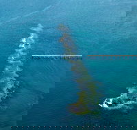 Port Noarlunga Reef Sanctuary Zone - Encounter Marine Park - Darwin Holiday
