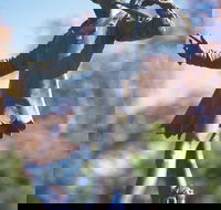 Queens Gardens - Darwin Holiday