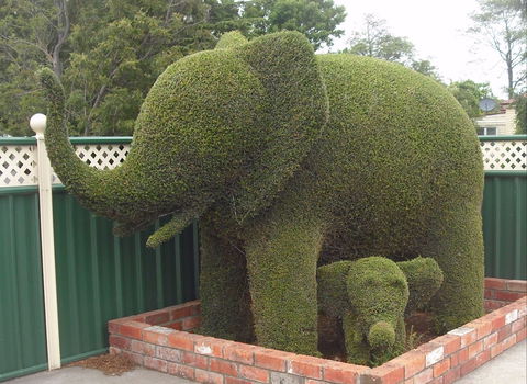 Railton: Town Of Topiary - Darwin Holiday 0