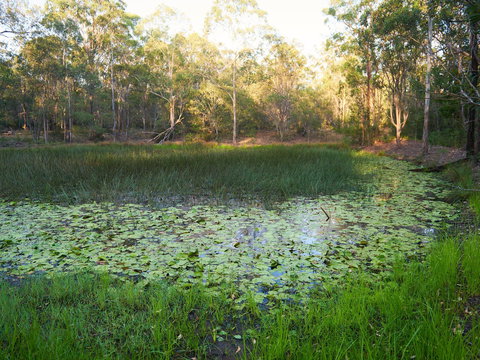 Raysource Road - Darwin Holiday 2