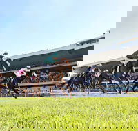 Rosehill Gardens Racecourse - Darwin Holiday