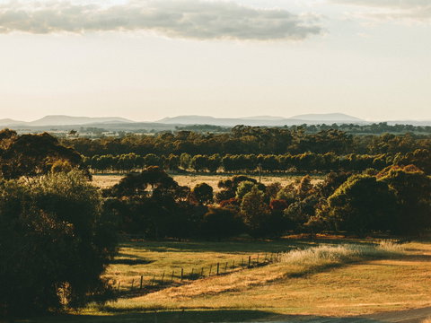Rutherglen Wine Bottle - Darwin Holiday 2