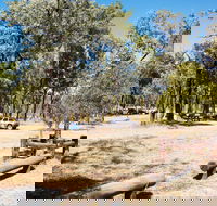 Salvator Rosa Carnarvon National Park - Darwin Holiday