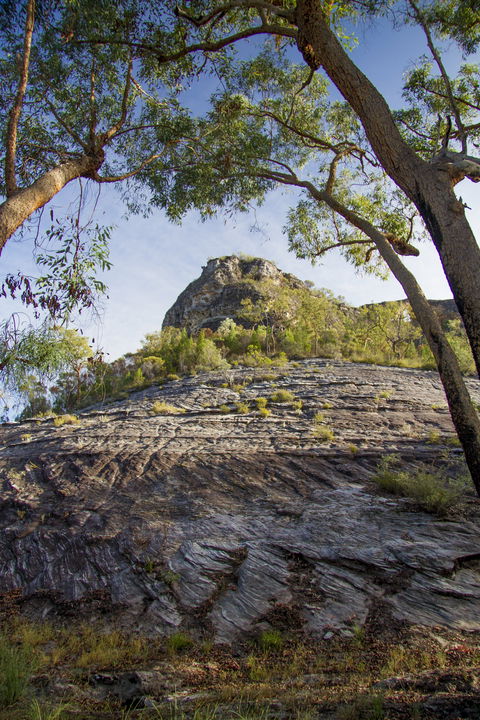 Salvator Rosa, Carnarvon National Park - Darwin Holiday 1