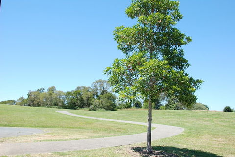 Samford Valley Rail Trail - Darwin Holiday 2