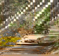 Scotsdale Tourist Drive - Darwin Holiday
