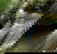 Second Ponds Creek Walk - Darwin Holiday