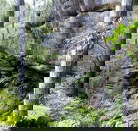 She-Oak Crossing Walk - Darwin Holiday