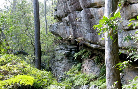 She-Oak Crossing Walk - Darwin Holiday 0