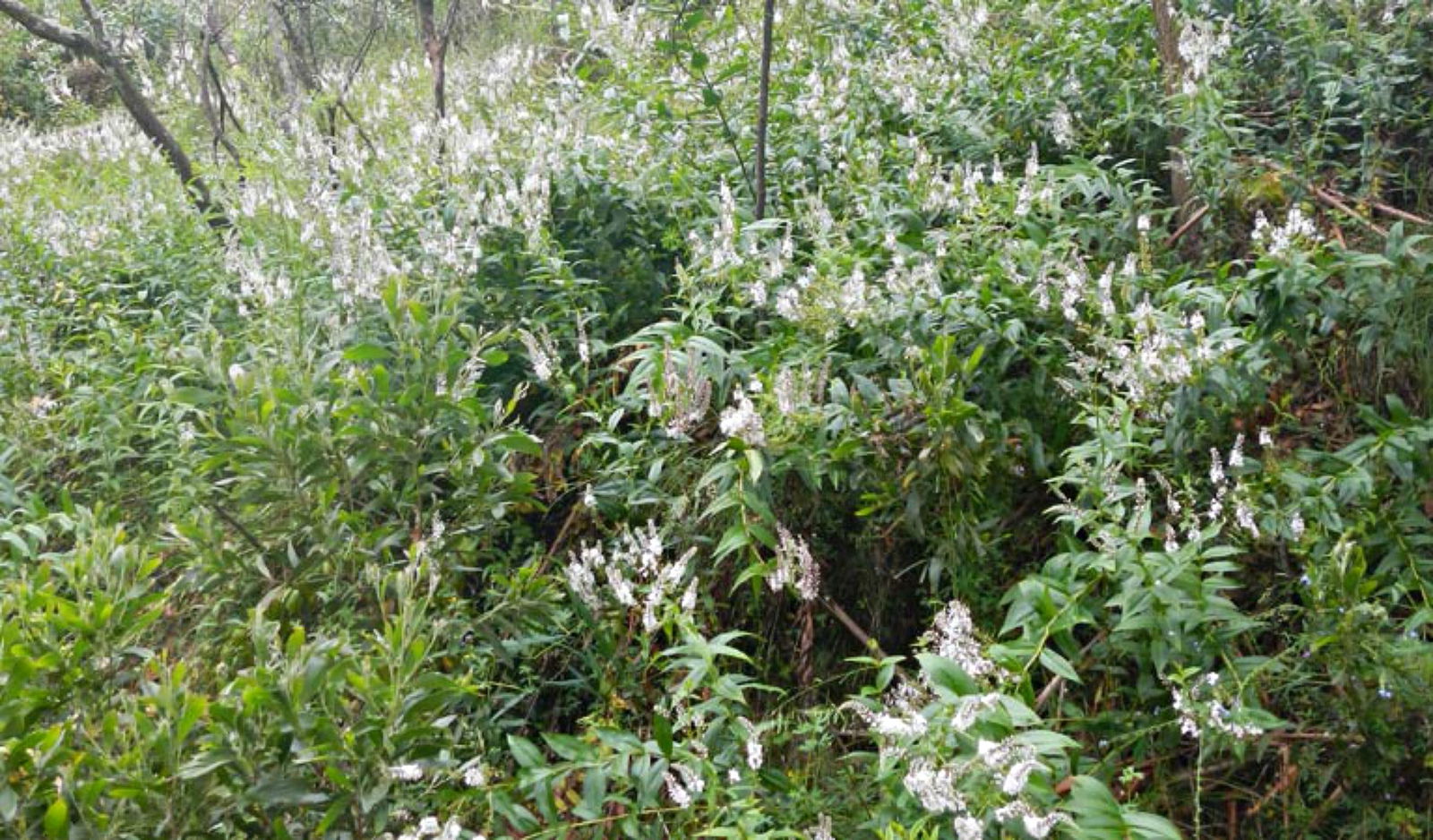 Belgravia NSW Darwin Holiday