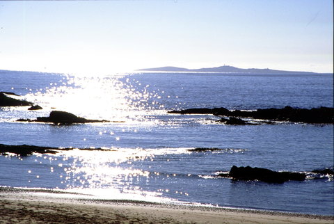 Snorkelling Mystery Bay - Darwin Holiday 2