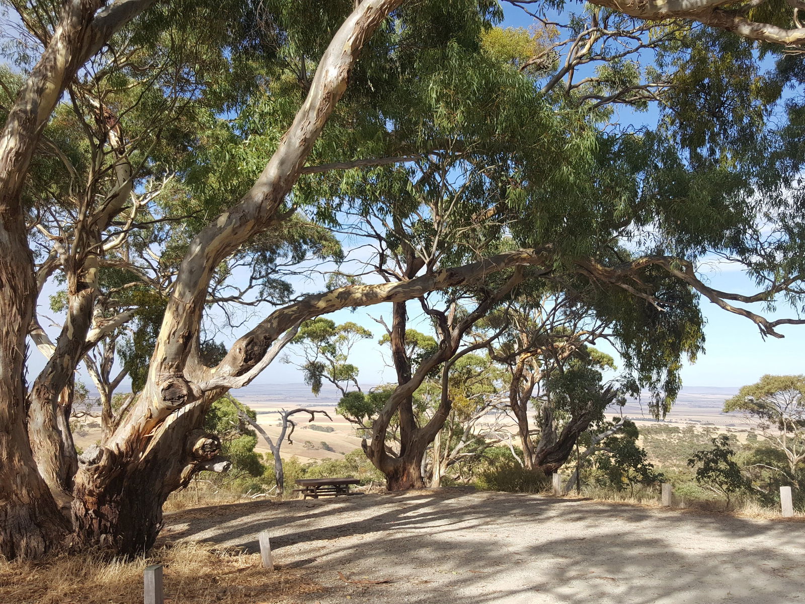 Spring Gully SA Darwin Holiday