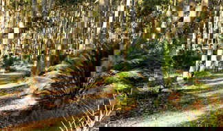 Book Malua Bay NSW Attractions Darwin Holiday Darwin Holiday