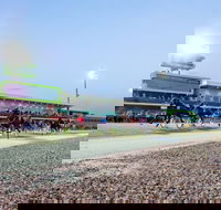 Tabcorp Park - Darwin Holiday