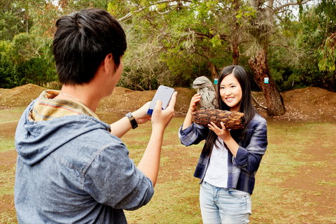 Taranna - Darwin Holiday 0