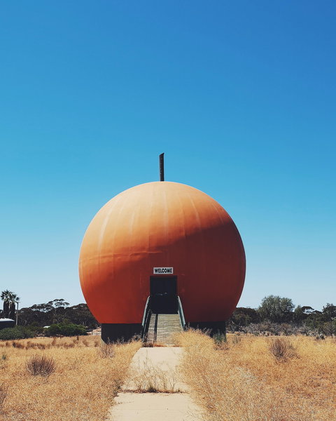 The Big Orange - Darwin Holiday 0