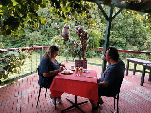 The Aussie Stop Offering Breakfast With Koalas - Darwin Holiday 0