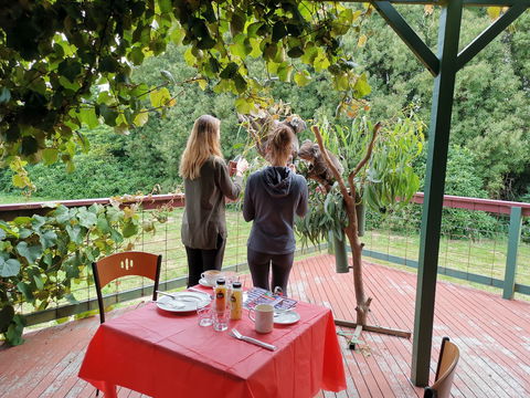 The Aussie Stop Offering Breakfast With Koalas - Darwin Holiday 2