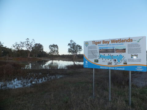 Tiger Bay Wetlands - Darwin Holiday 0