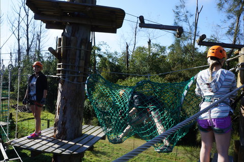 Trees Adventure - Lane Poole Park - Darwin Holiday 0