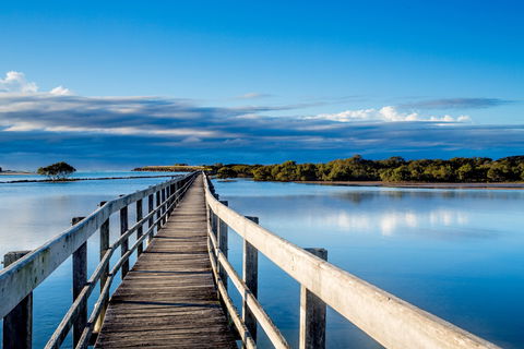Urunga Boardwalk - Darwin Holiday 1