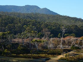 Wilmington - Darwin Holiday 1