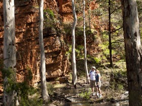 Wilmington - Darwin Holiday 2