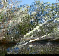 Wongi State Forest - Darwin Holiday