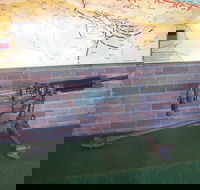 Woodpecker Gun - Darwin Holiday