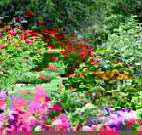 Alma Park - Darwin Holiday