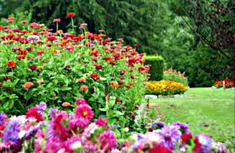 Alma Park - Darwin Holiday 0