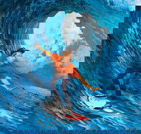 ArtVo Immersive Gallery - Darwin Holiday