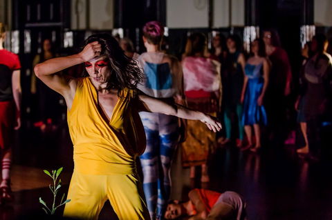 Arts House - Darwin Holiday 0