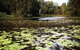 Baldwin Swamp Environmental Park - thumb 1