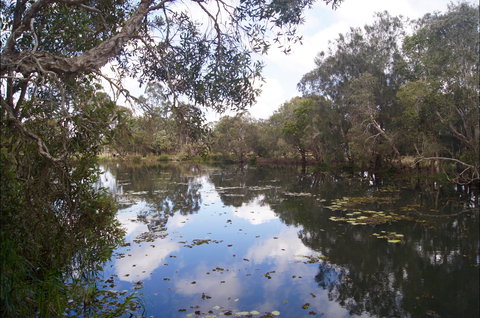 Baldwin Swamp Environmental Park - Darwin Holiday 2