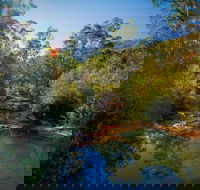 Bargo State Conservation Area - Darwin Holiday